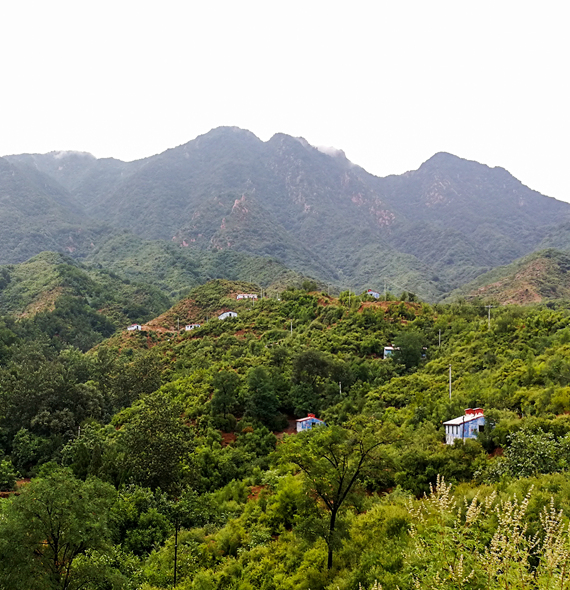 國家柴雞生態(tài)養殖基地